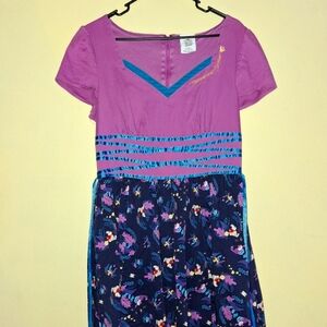 Disney Park Alice in Wonderland Dress